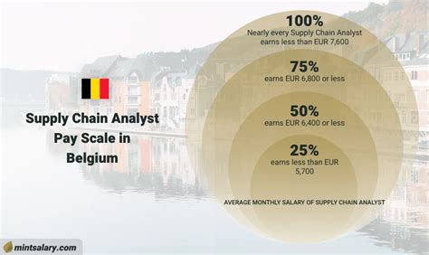 Salary: Business Analyst in Belgium 2024 .